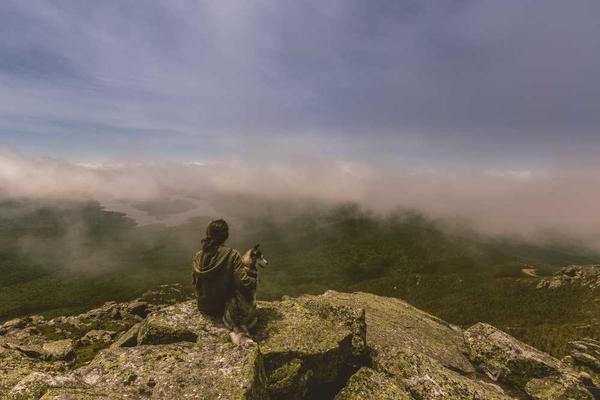 Influencer Resources